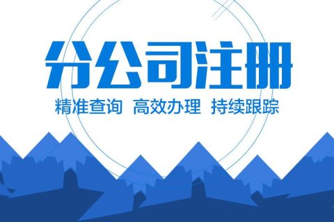 在拉薩設(shè)立分公司的流程、所需材料、辦理時間