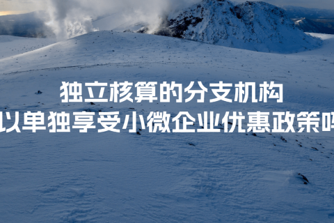 獨(dú)立核算的分支機(jī)構(gòu)可以單獨(dú)享受小微企業(yè)優(yōu)惠政策嗎？